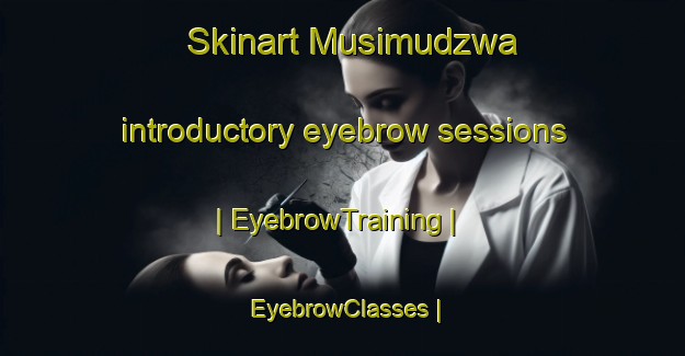 Skinart Musimudzwa introductory eyebrow sessions | EyebrowTraining | EyebrowClasses | SkinartTraining-Zimbabwe